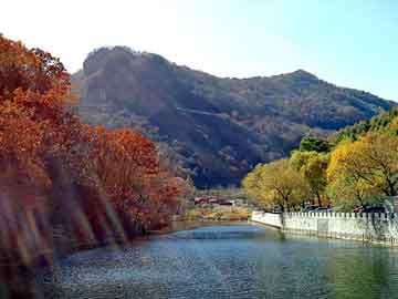 澳门天天免费精准大全，壳牌机油型号